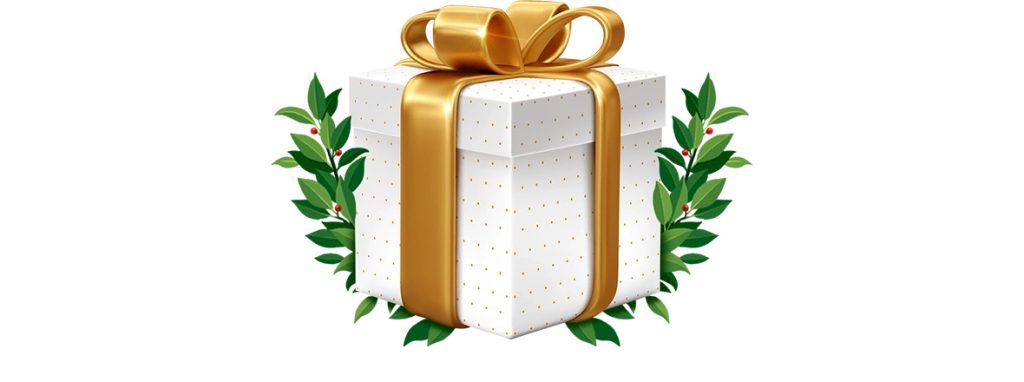 Gift-box Pin Up